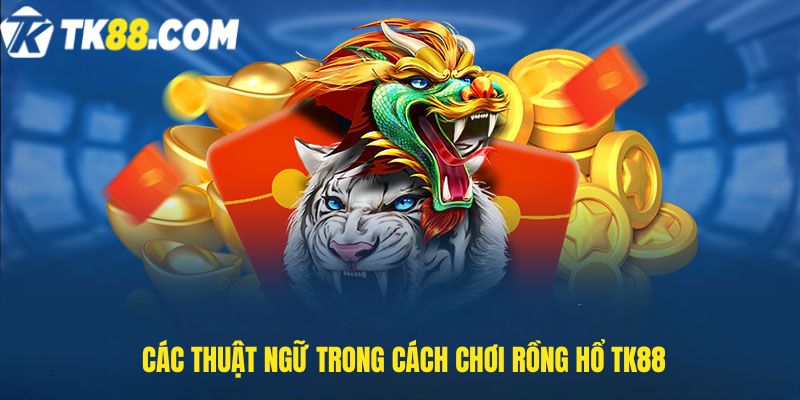 Các thuật ngữ trong Cách chơi Rồng Hổ TK88