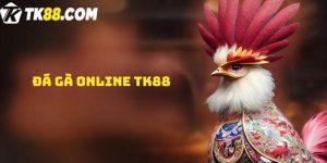 Đá gà online TK88