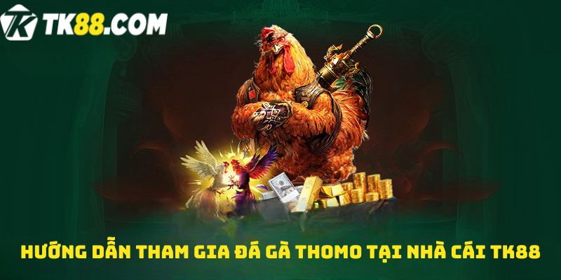 Hướng dẫn tham gia Đá gà Thomo tại nhà cái TK88