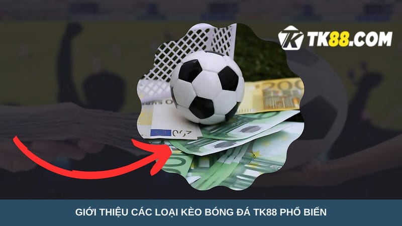  loại kèo bóng đá TK88 phổ biến