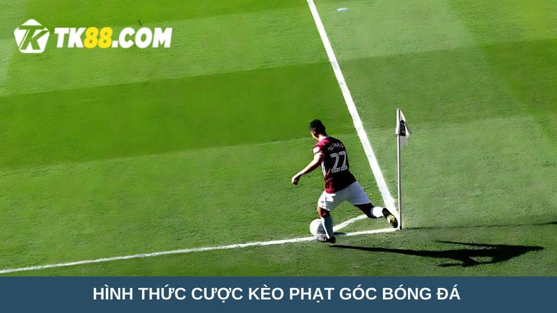  cược kèo phạt góc bóng đá tại nhà cái TK88