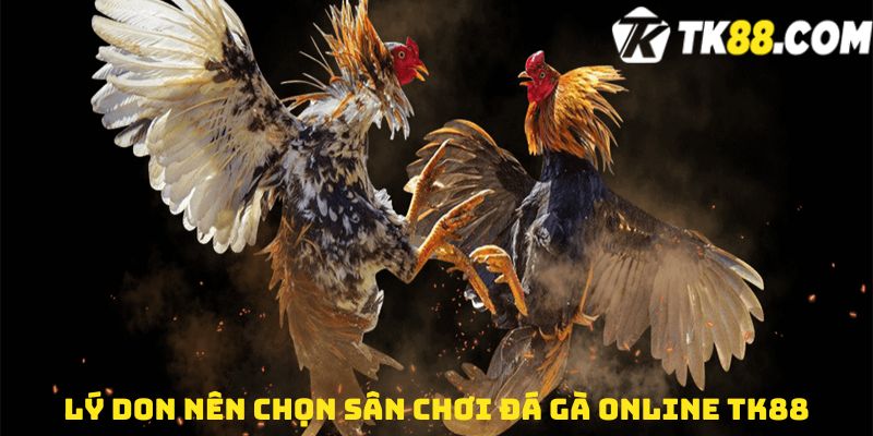 Lý don nên chọn sân chơi Đá gà online TK88