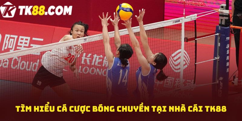 Tìm hiểu Cá cược bóng chuyền tại nhà cái TK88