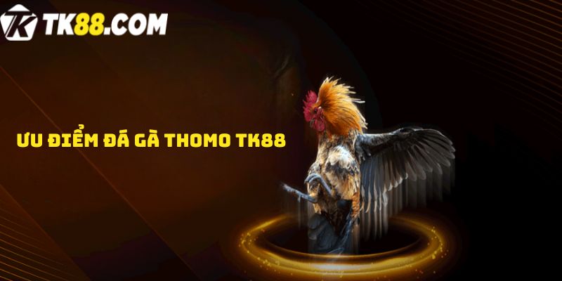 Ưu điểm đá gà Thomo TK88